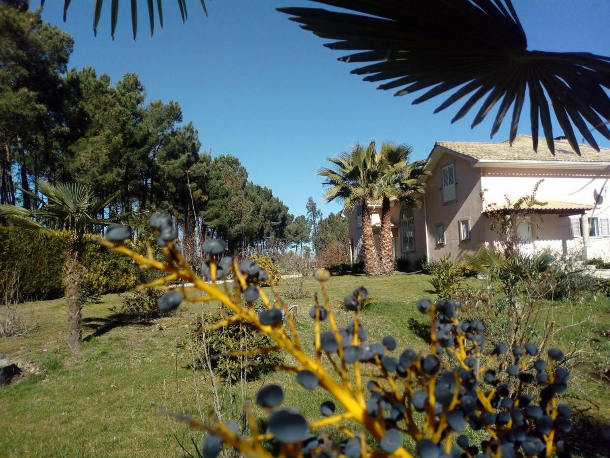 Casa Do Soito Hotel Mangualde Exterior foto